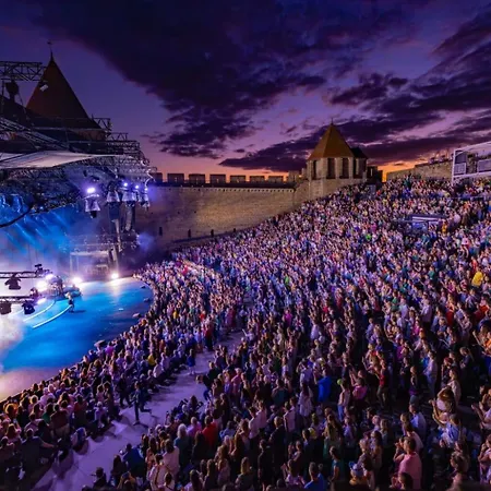 Entrez En Lice, Face A La Cite Vue Sublime Carcassone