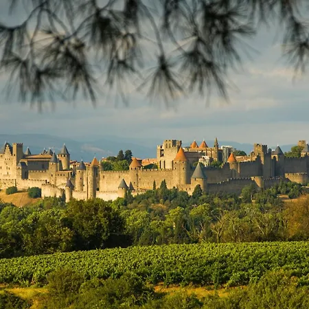 Entrez En Lice, Face A La Cite Vue Sublime
