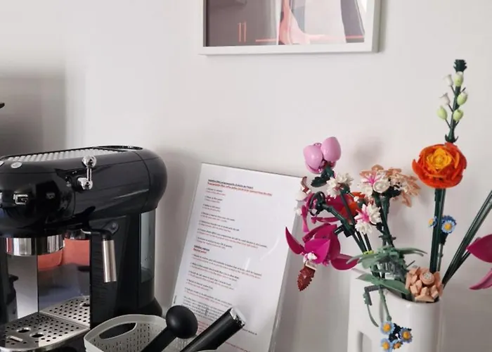 Entrez En Lice, Face A La Cite Vue Sublime